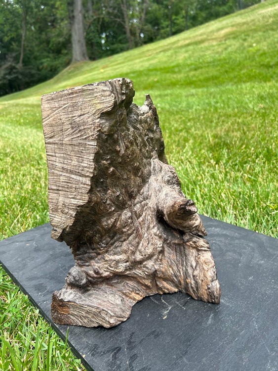 Gamayun Black Walnut, 12 inches H, 2005, LM-1023